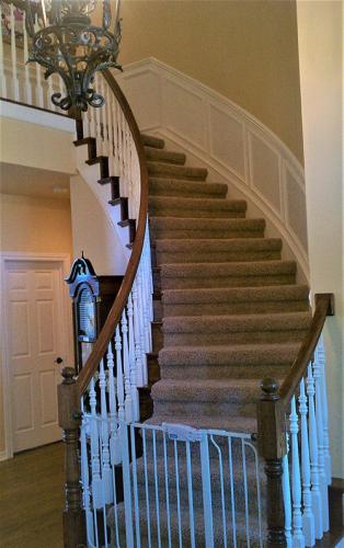 indoor carpeted stairway